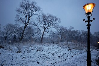A_touch_of_Narnia_in_Den_Haag..._3063718782.jpg